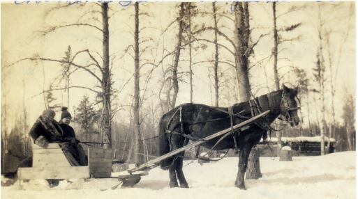 men in a horsedrawn wagon