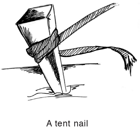 Nail to hold down tent