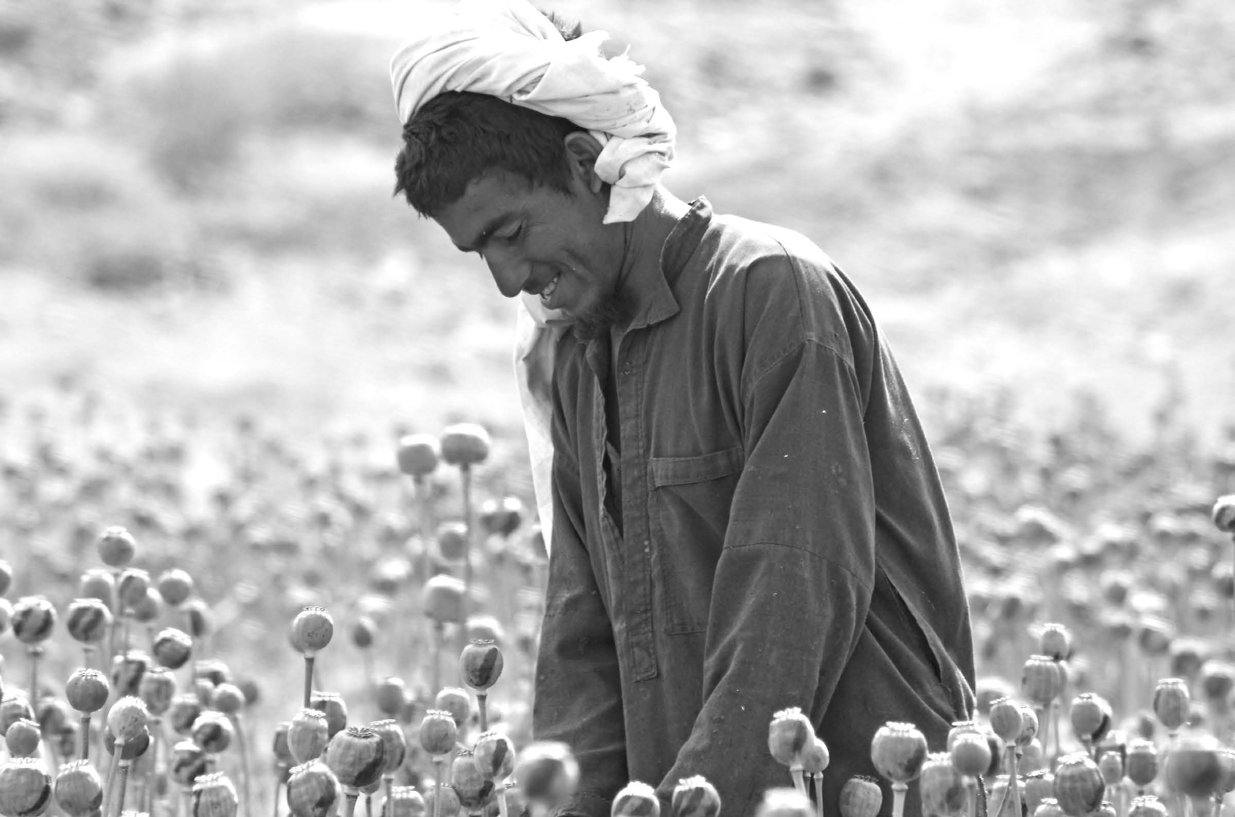 An Afghan farmer in his poppy field. It has been estimated that Afghanistan is the source of up to 90 percent of the world’s opium. All photos on this page courtesy of J. Joseph DuWors.