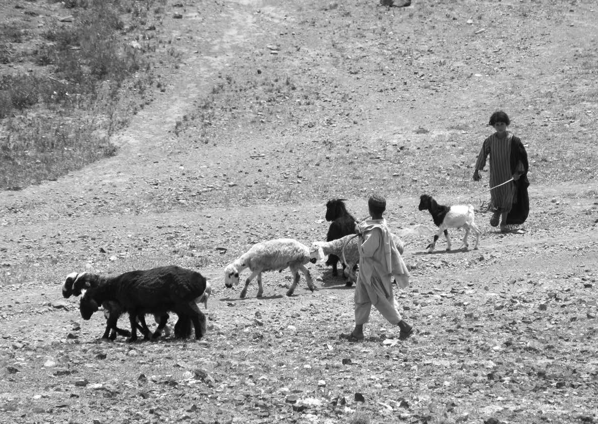 Life in some areas in Afghanistan is much like it was centuries ago.