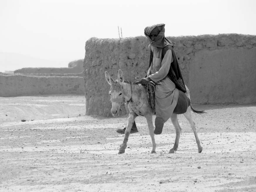 These photos show elements of everyday life in the Afghan countryside. Courtesy of J. Joseph DuWors.
