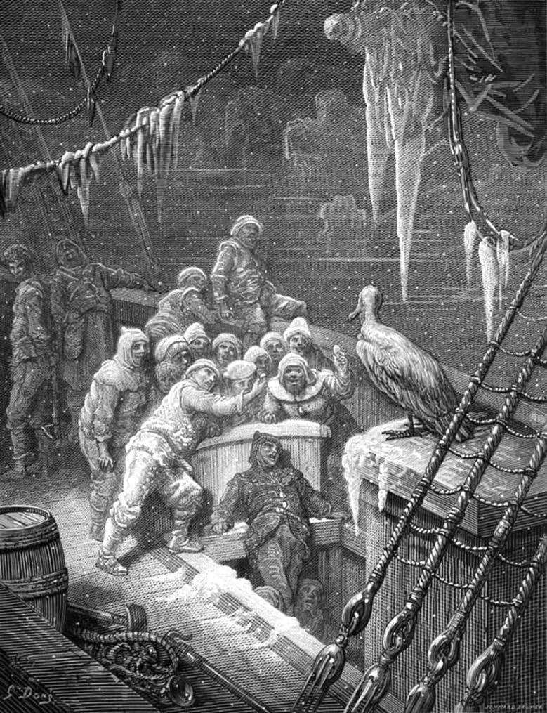The Albatross, engraving by Gustave Doré (1876).