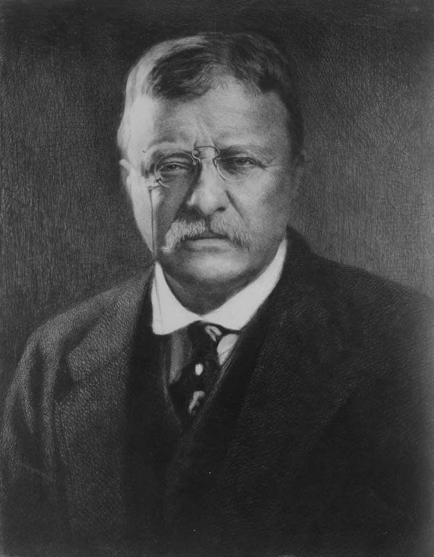 James S. King, Theodore Roosevelt, head-and-shoulders portrait, ca. 1912.