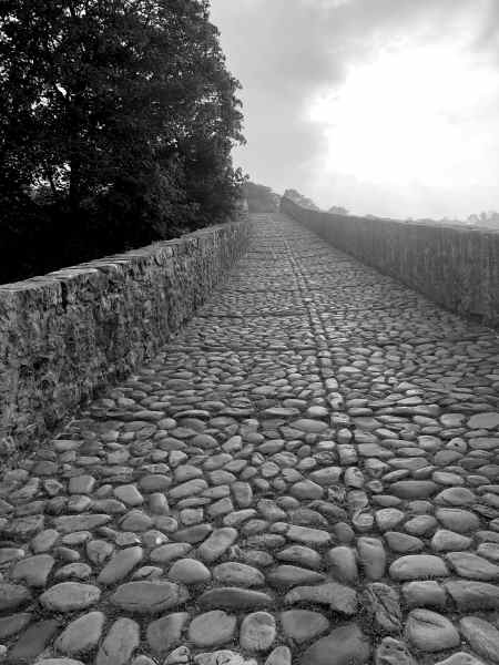 photo of the cobblestone path of camino