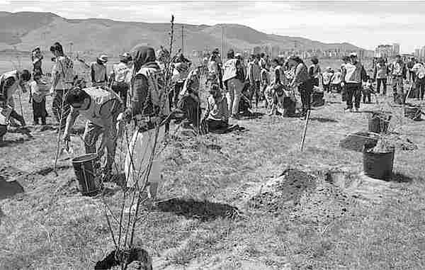 photo of the tree planting in honor of the 25th anniversary of the church in mongolia