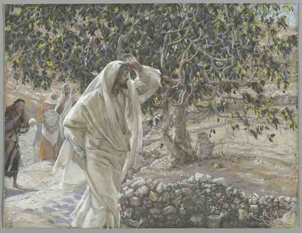 Christ and the accursed fig tree