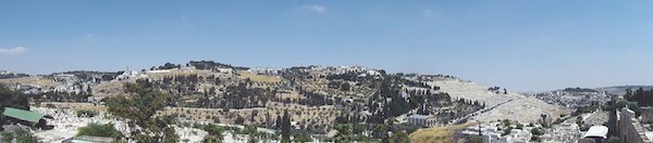 mount of olives photo