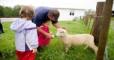 Photo of a family feeding a sheep