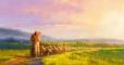 A shepherd leading sheep