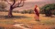 Jesus in a field